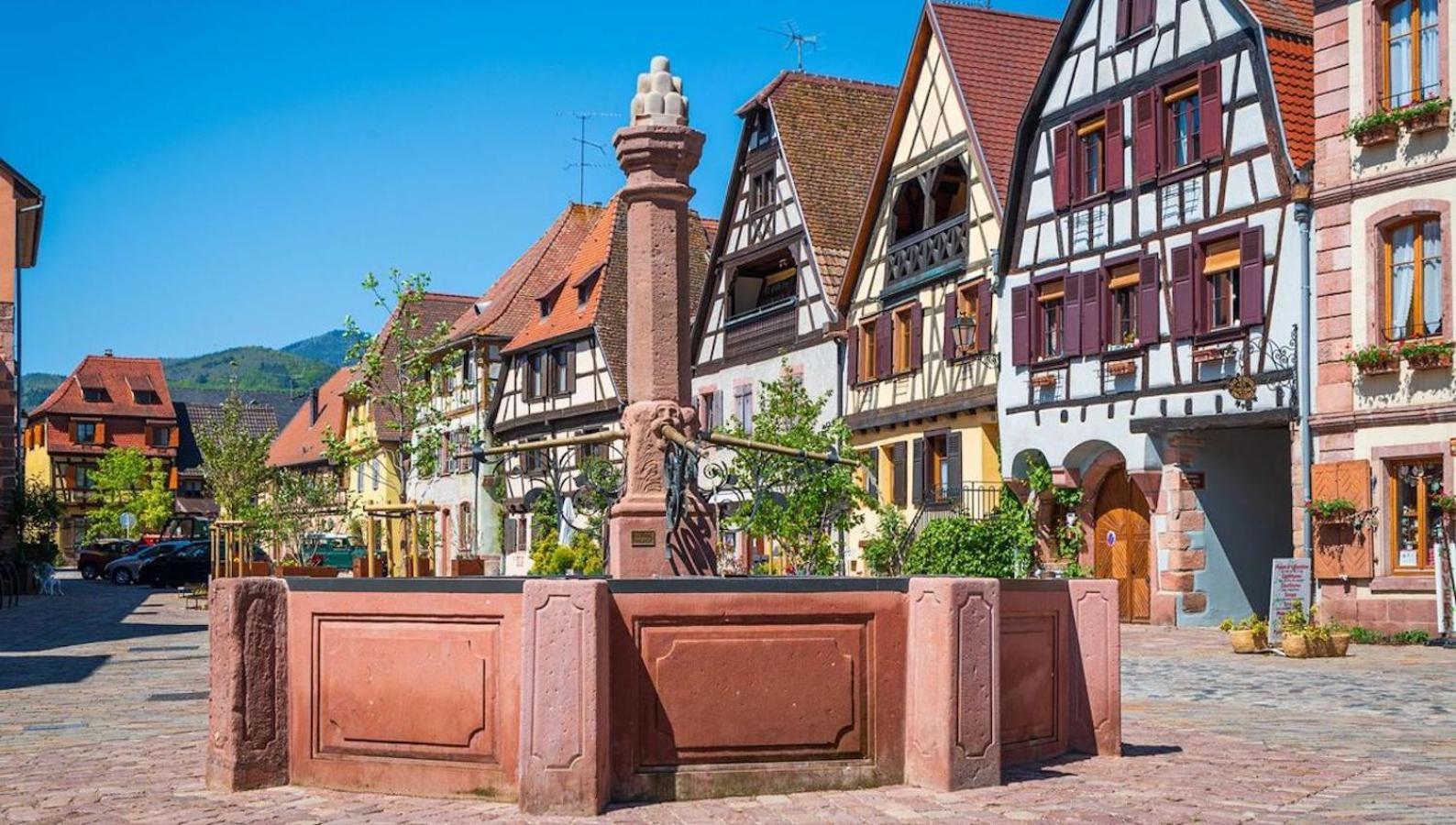 Appartements Duplex 3 Et 4 Personnes - Climatisation - Village Elu Parmi Les "Plus Beaux Villages De France" - Route Des Vins - Centre Alsace Bergheim Exterior foto
