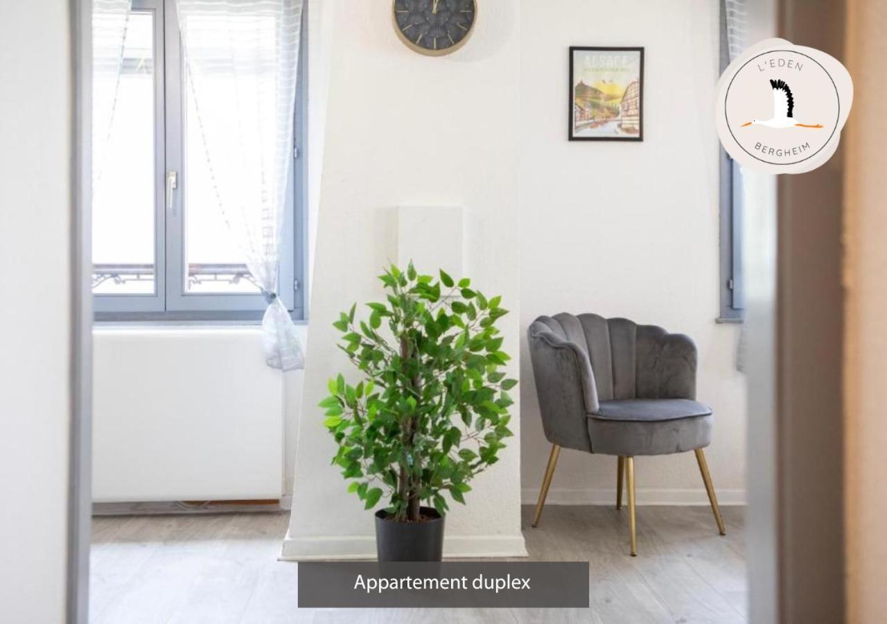 Appartements Duplex 3 Et 4 Personnes - Climatisation - Village Elu Parmi Les "Plus Beaux Villages De France" - Route Des Vins - Centre Alsace Bergheim Exterior foto
